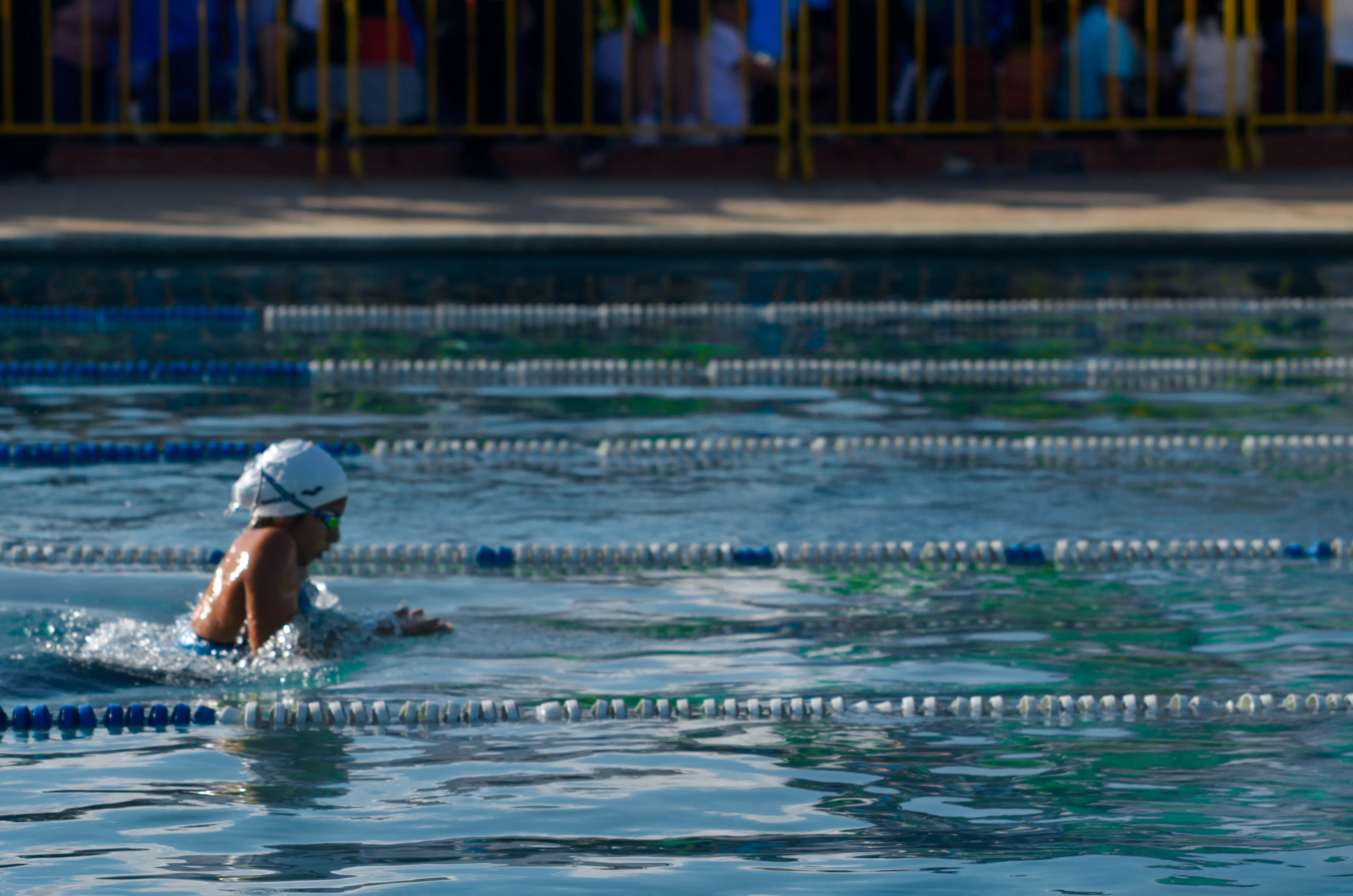 II Competencia Estadal 2026